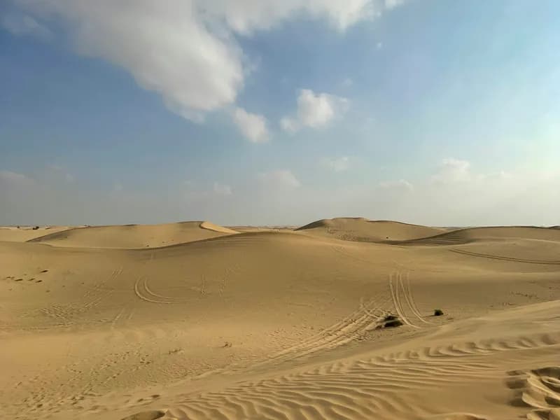 Desert Safari & Empty Quarter Edge