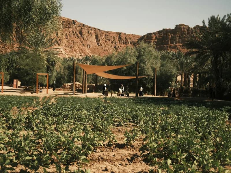 AlUla Oasis Heritage Trail