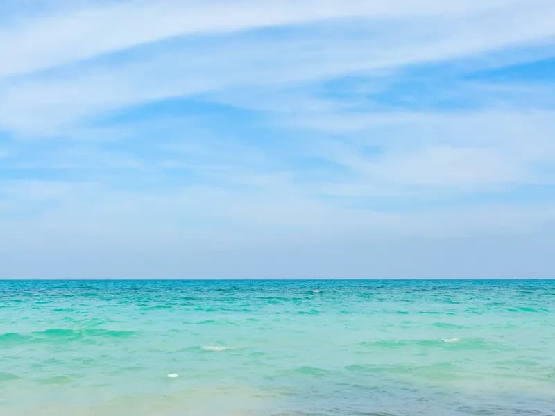 Elephant Beach (Havelock)
