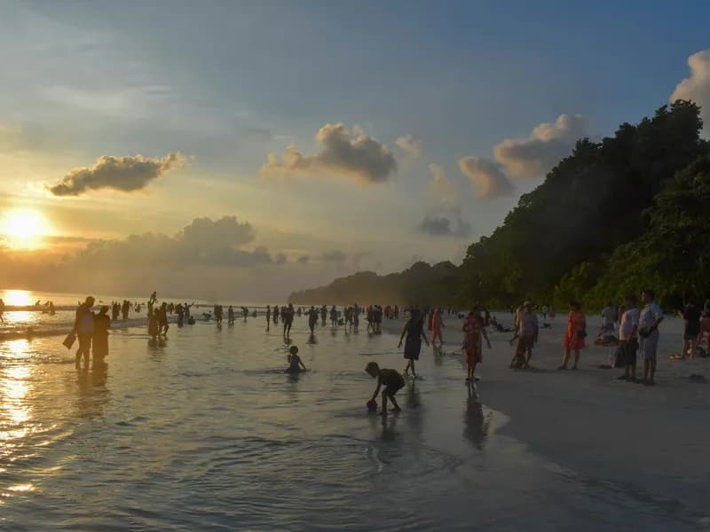 Bioluminescent Beach, Havelock