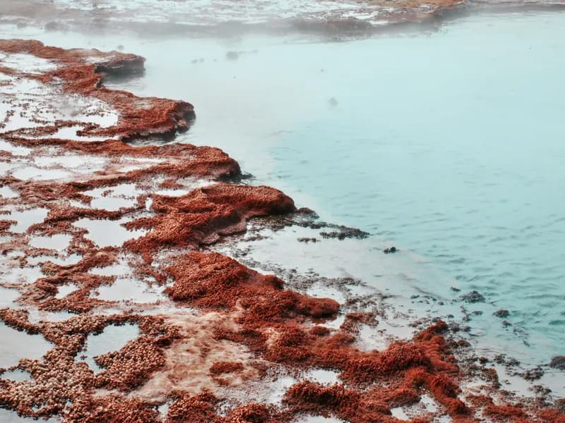 Termas de Puritama