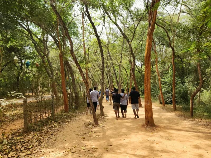Sadhana Forest