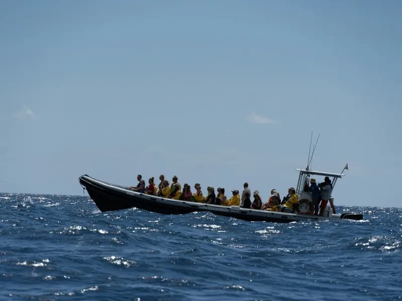 Whale Watching