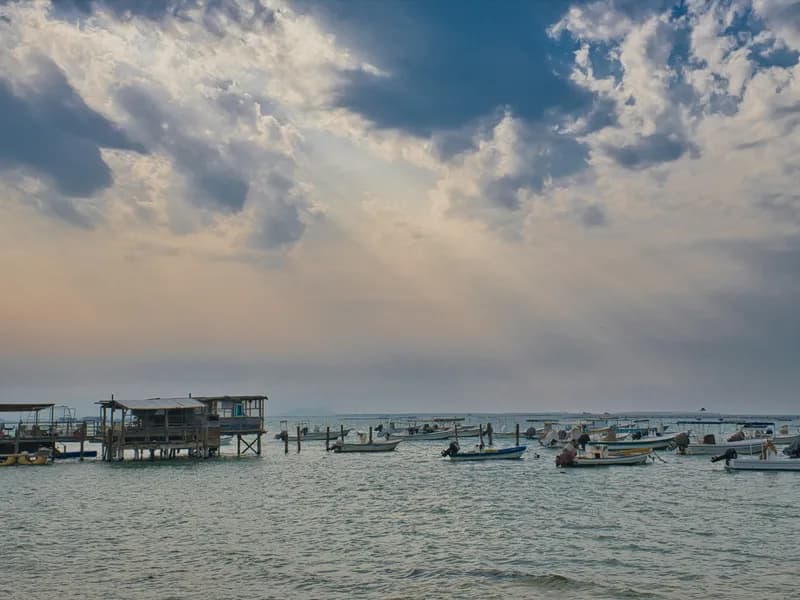 Pearl Diving Experience