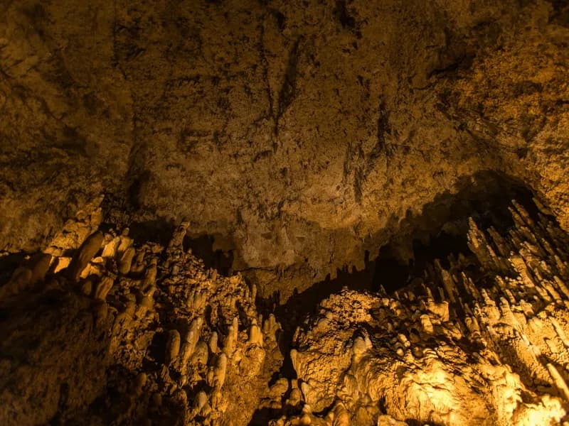 Harrison's Cave