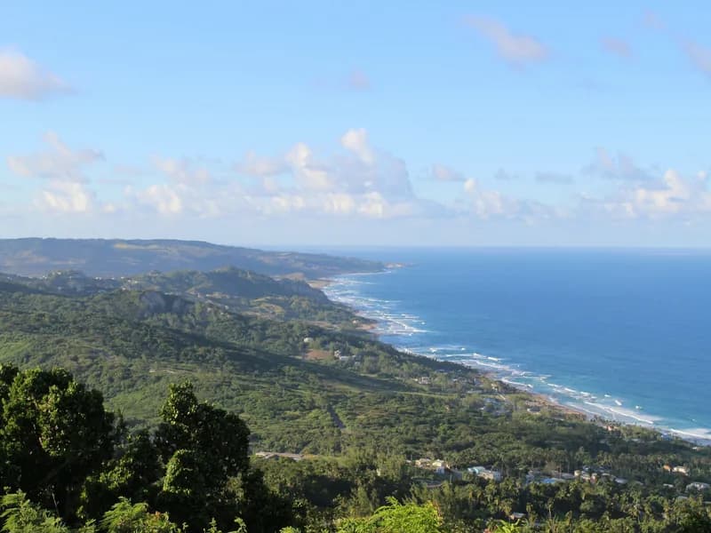 Bathsheba and the Soup Bowl