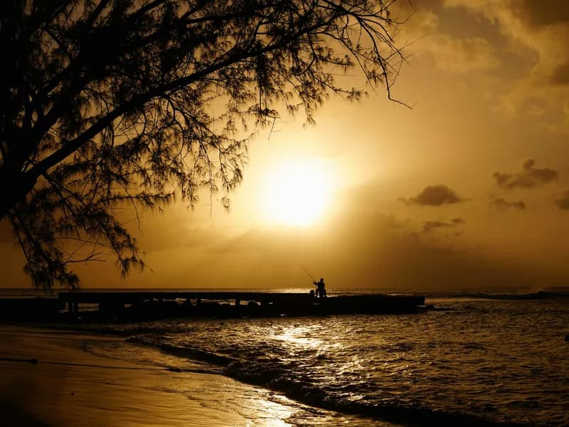Platinum Coast Beaches