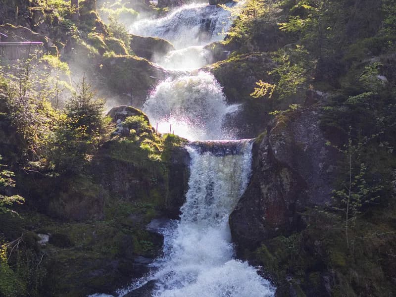 Triberg Waterfalls