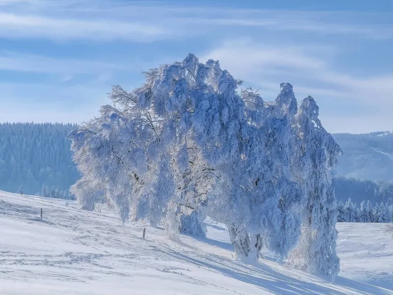 Schauinsland