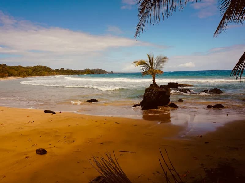 Red Frog Beach (Isla Bastimentos)