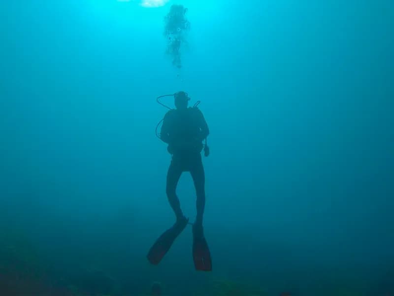 Shore Diving (80+ Sites)