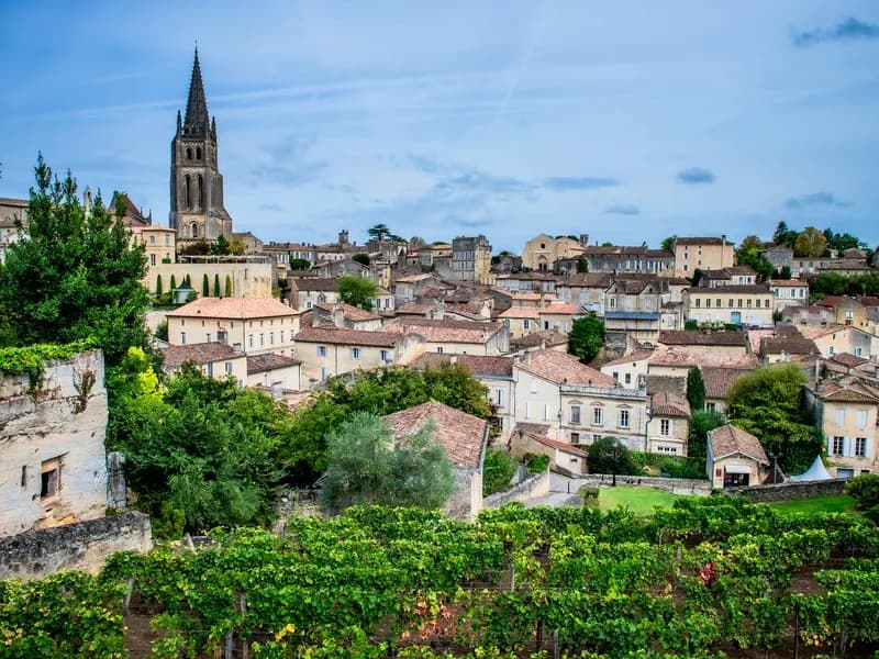 Saint-Emilion Day Trip