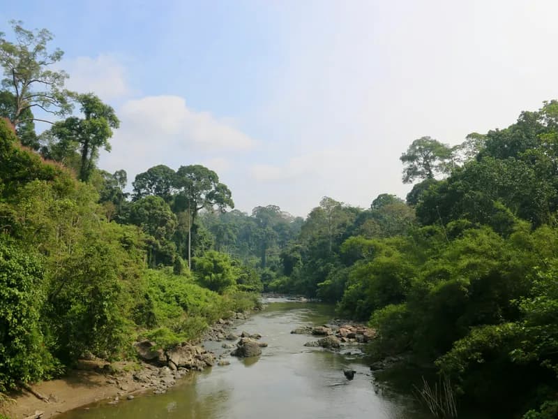 Danum Valley Conservation Area