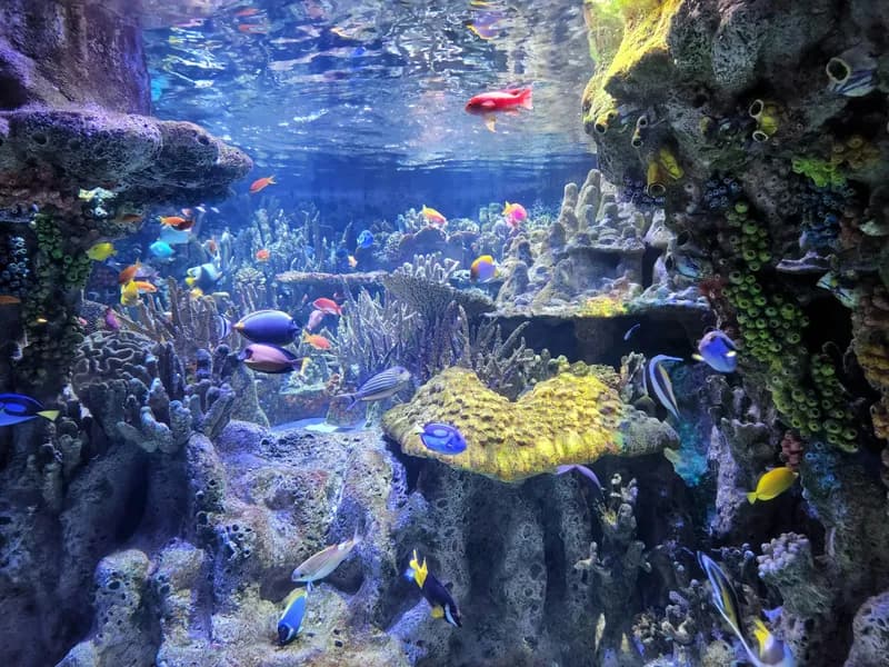 New England Aquarium