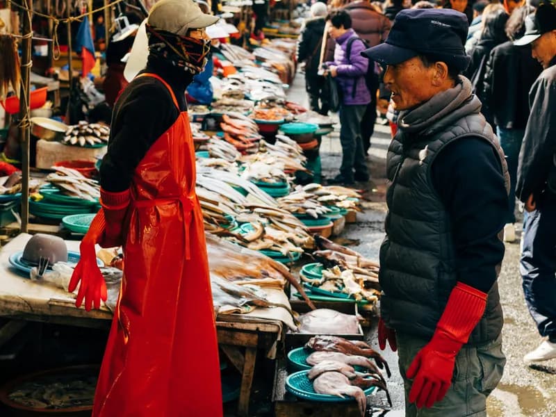 Jagalchi Fish Market