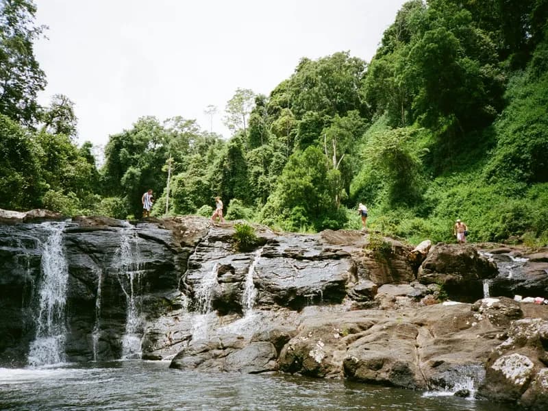 Byron Bay Hinterland