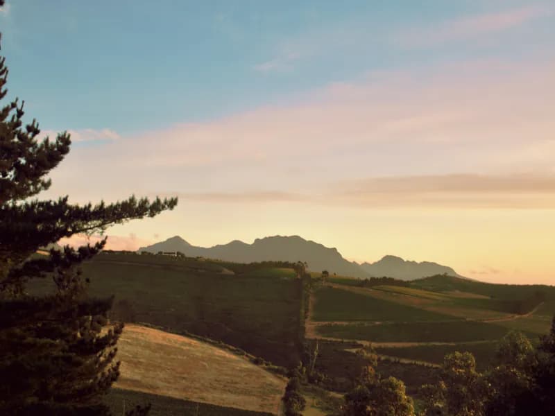 Stellenbosch & Franschhoek Wine Region