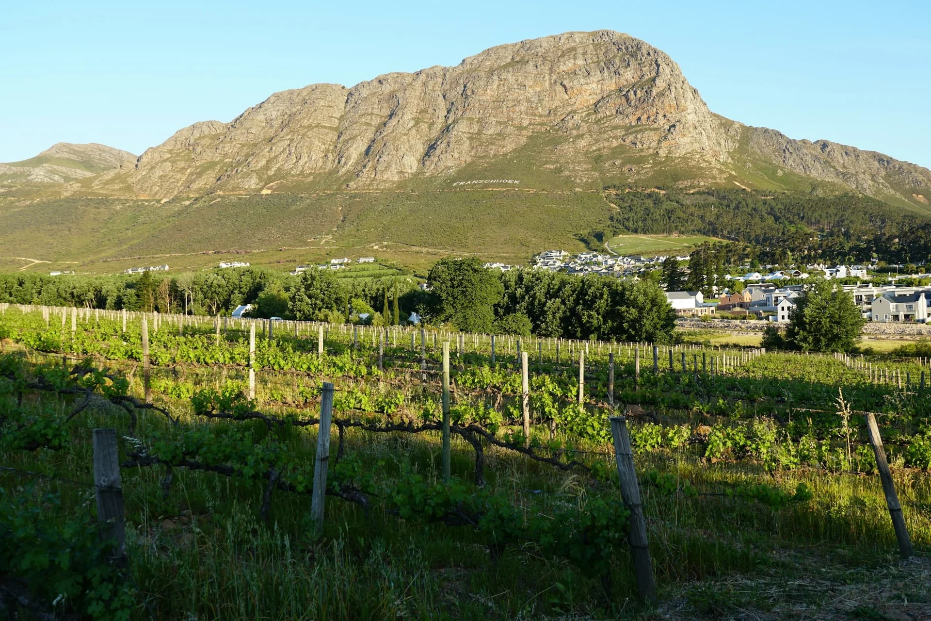 11 Cape Winelands Stops That Earn Their Place on Your Itinerary