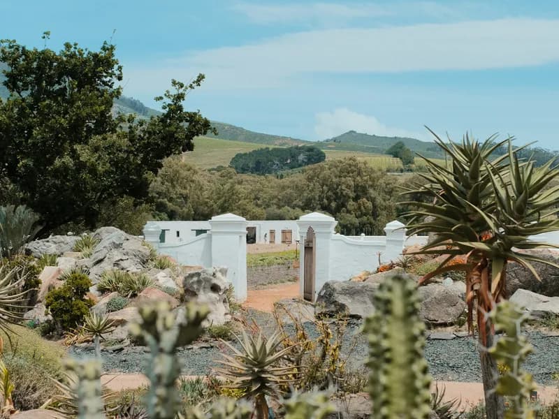 Paarl & Babylonstoren