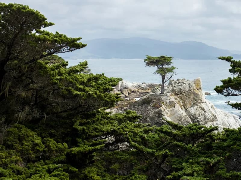 17-Mile Drive