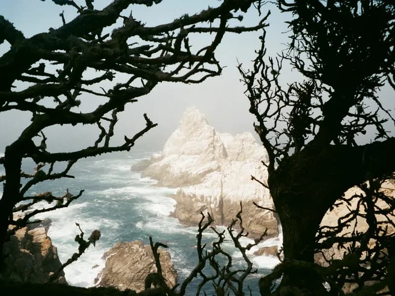 Point Lobos State Natural Reserve