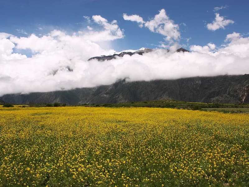 Patapampa Pass & Volcano Viewpoint