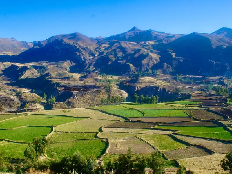 Mirador de Antahuilque & Terraced Valley