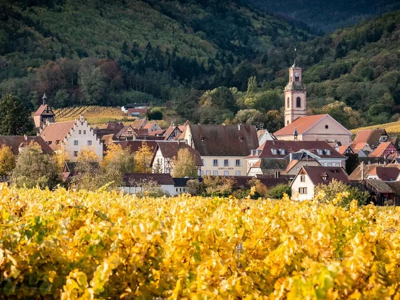 Alsace Wine Route