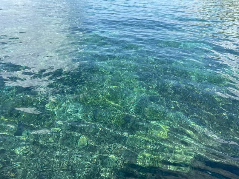 Diving & Snorkeling at Con Dao National Park