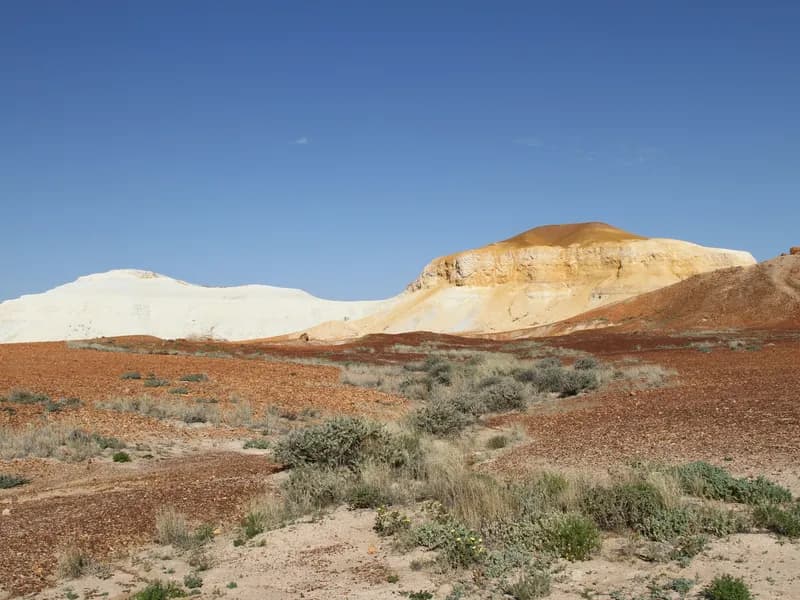 Kanku-Breakaways Conservation Park