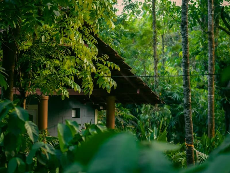 Coffee Plantation Stay & Tour