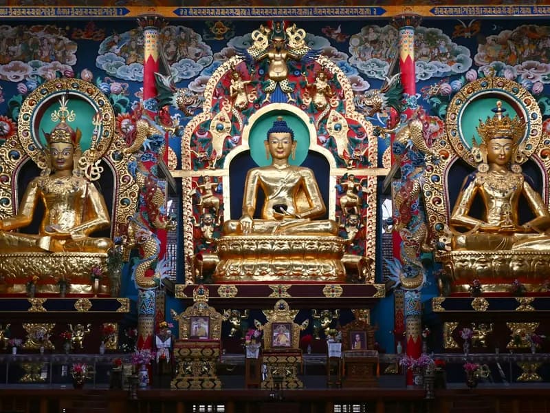 Namdroling Monastery (Golden Temple)
