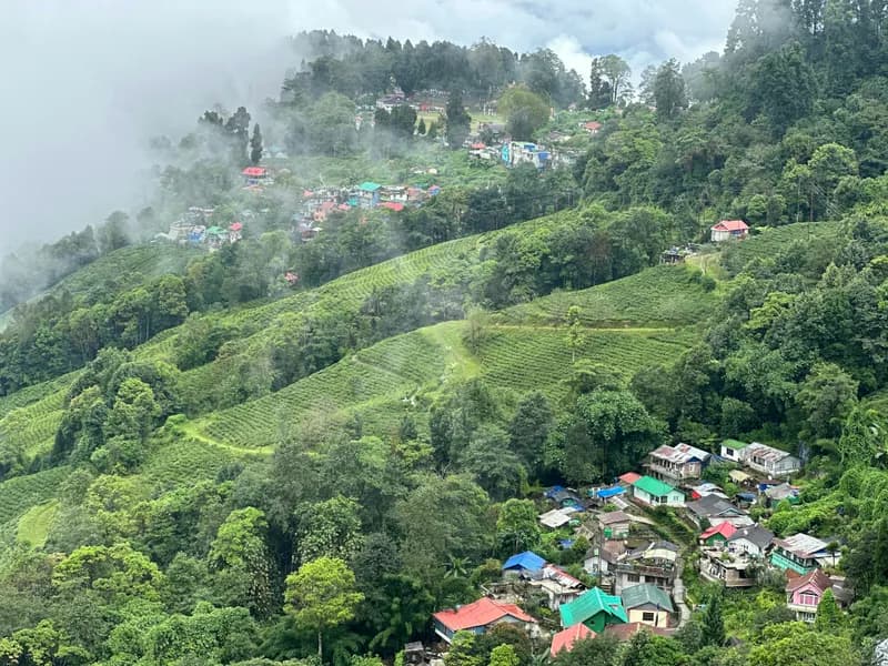 Happy Valley Tea Estate