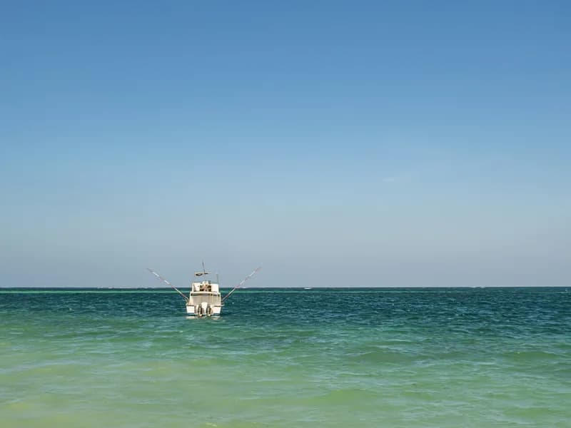 Wasini Island & Kisite-Mpunguti Marine Park
