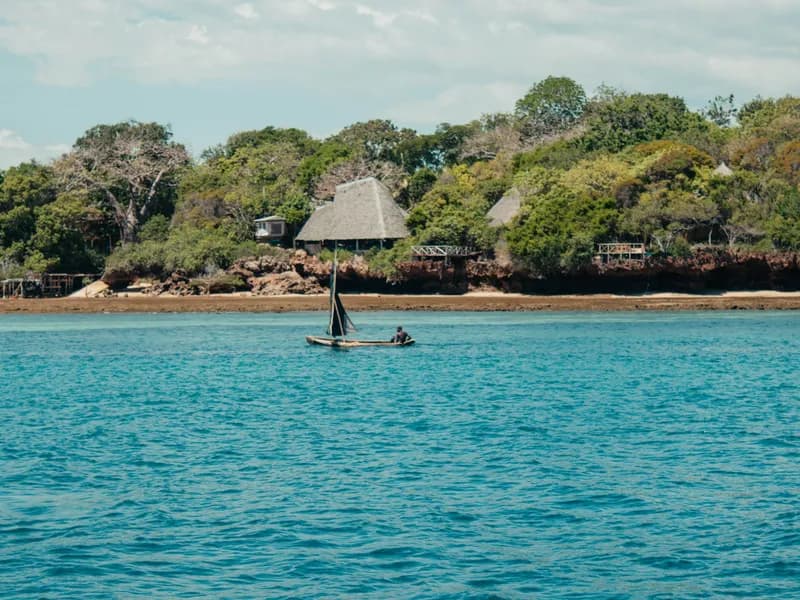 Coral Reef Diving & Snorkeling