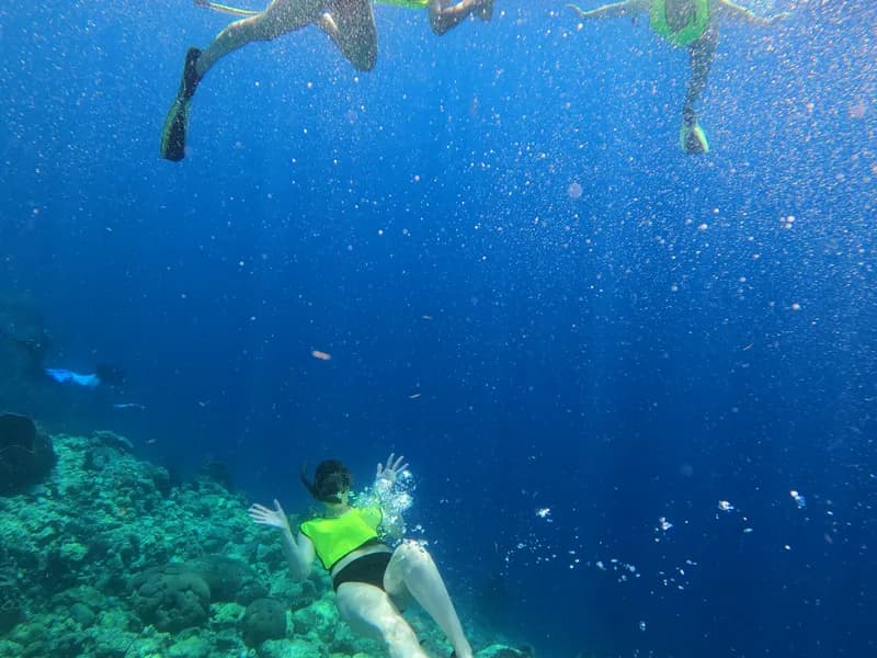 Champagne Reef