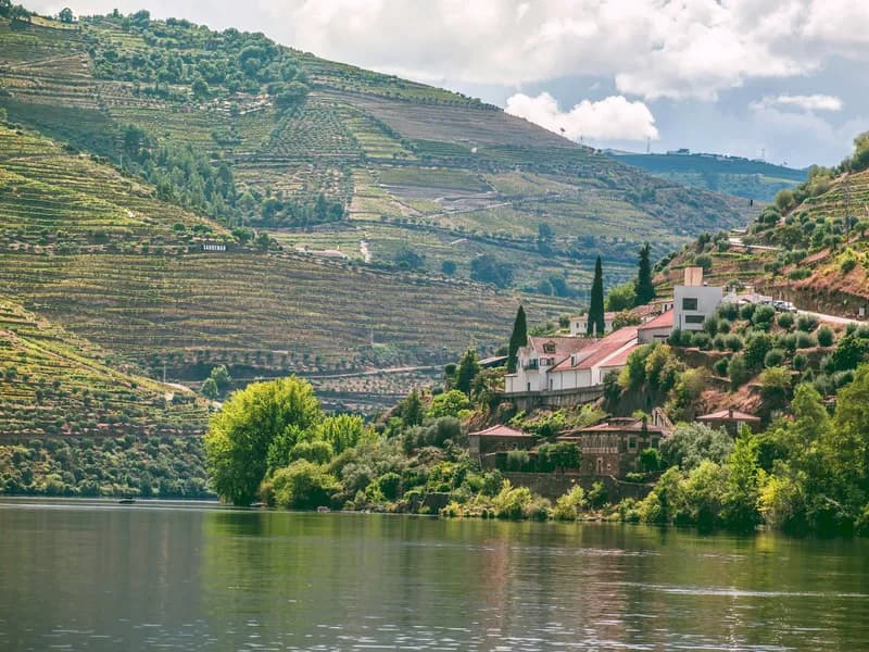 Quinta do Crasto Wine Estate