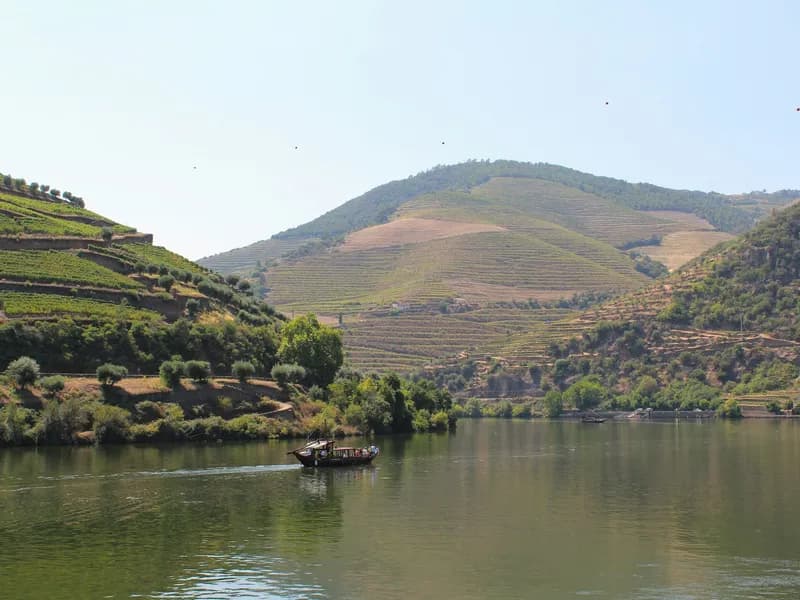 Douro River Boat Cruise