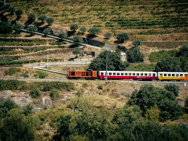 Peso da Régua and Douro Museum