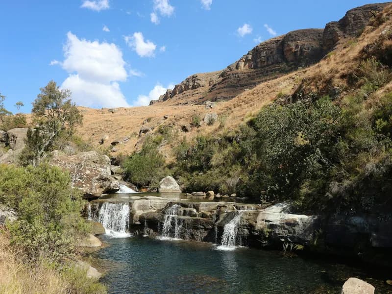 Giant's Castle Game Reserve