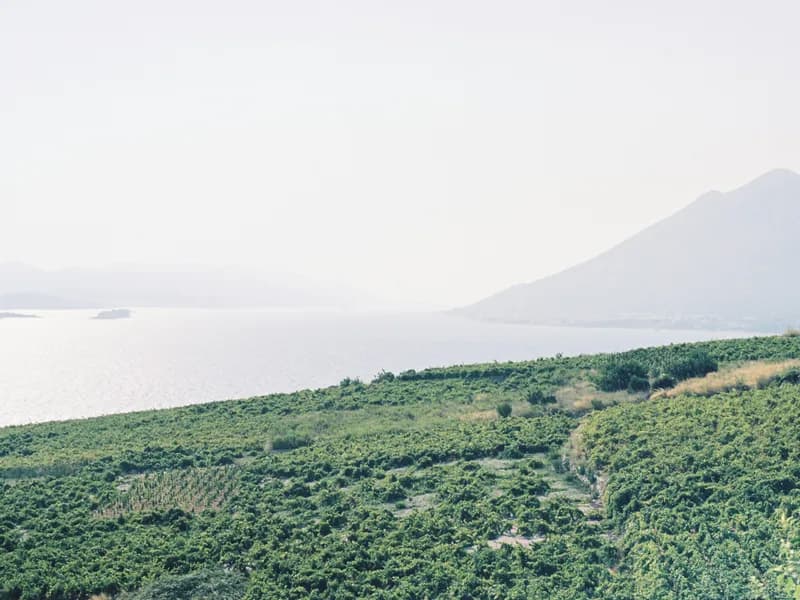 Peljesac Wine Peninsula