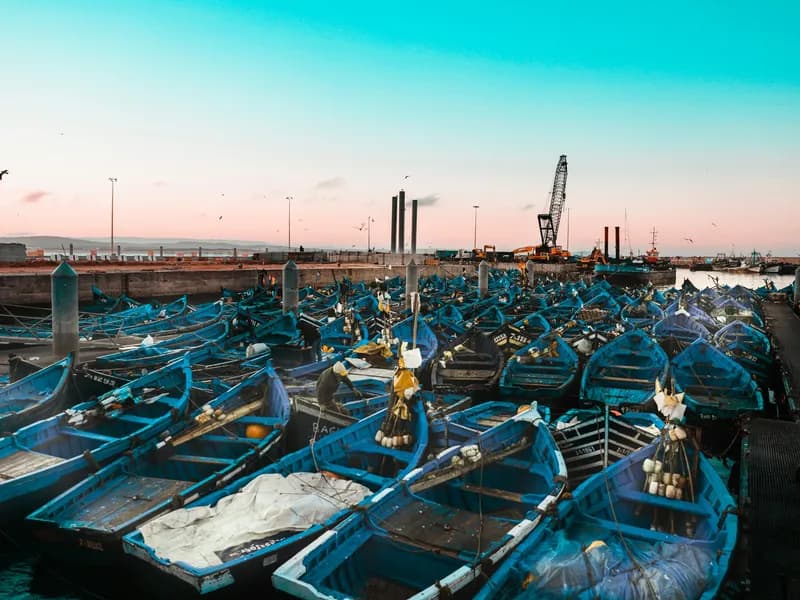 Blue Fishing Boats of the Harbor
