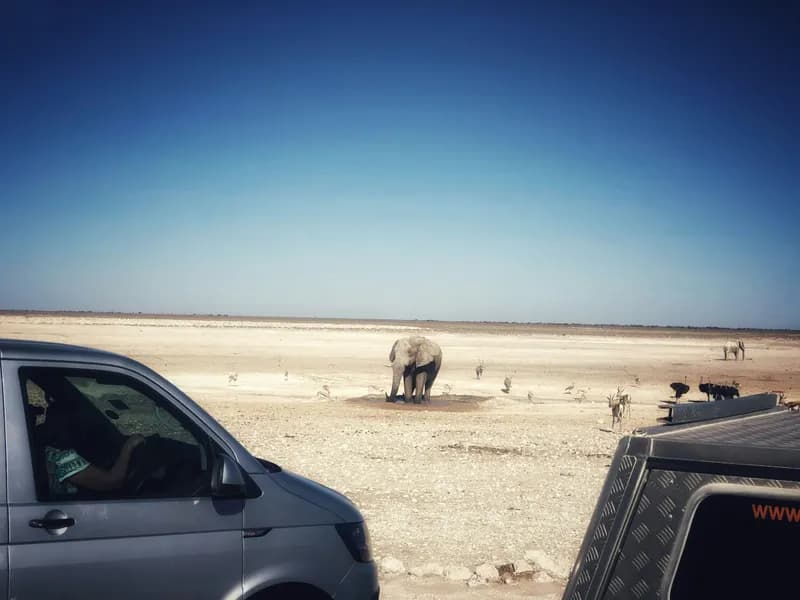Self-Drive Safari