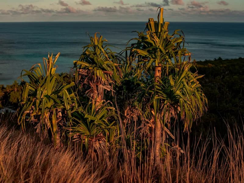 Sunset Beach Hikes