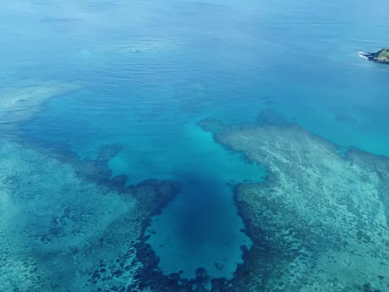 Octopus Resort (Waya Island)
