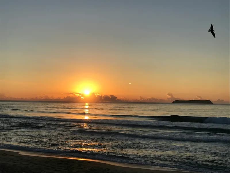 Praia Mole