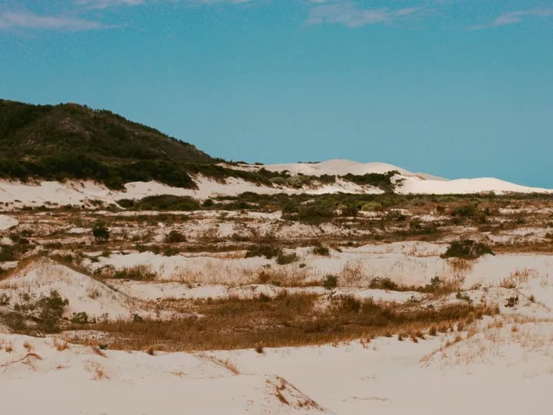 Joaquina Beach