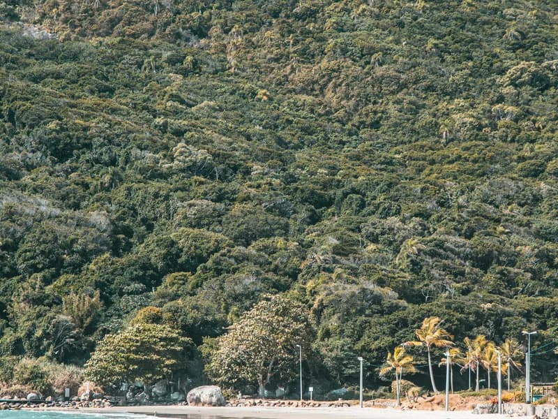 Praia dos Ingleses