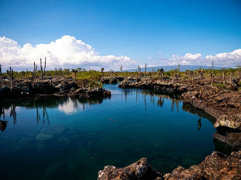 Los Túneles (Isabela Island)