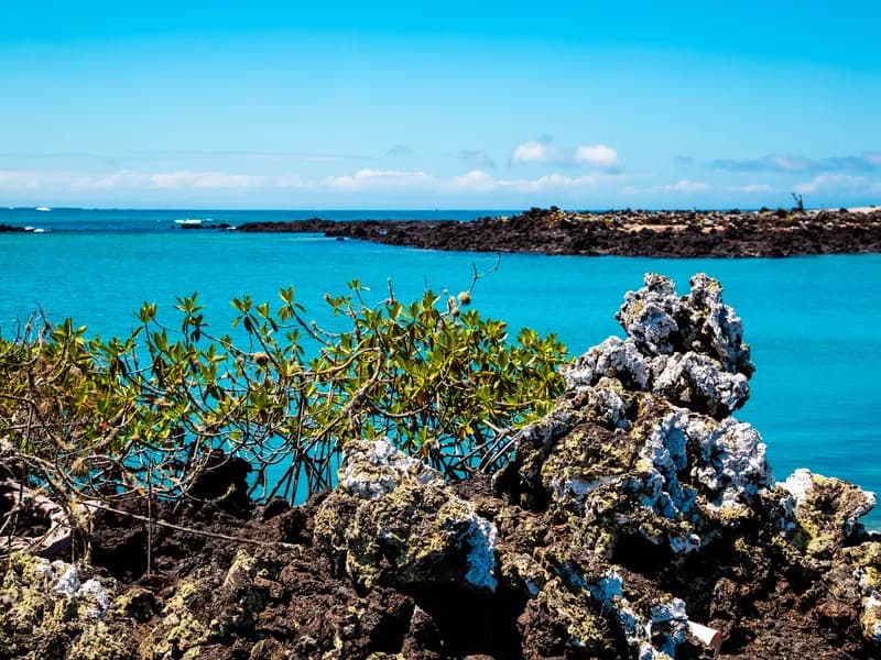 Las Grietas